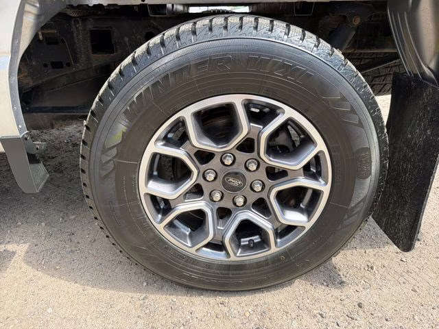 2021 Silver Metallic Ford F-150 XL 4X4 Truck