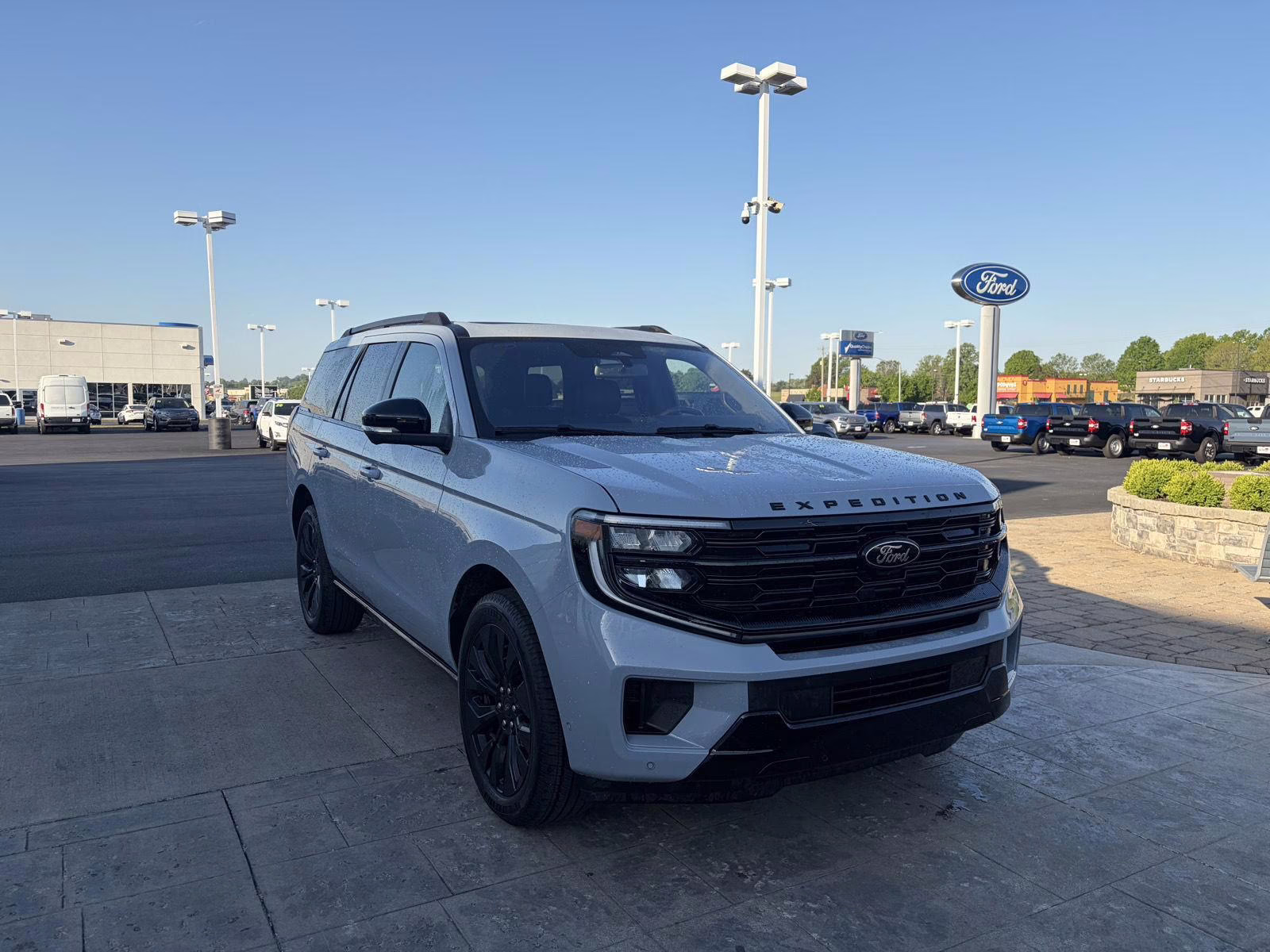 2025 Glacier Gray Metallic Tri-Coat Ford Expedition Platinum 4X4 SUV