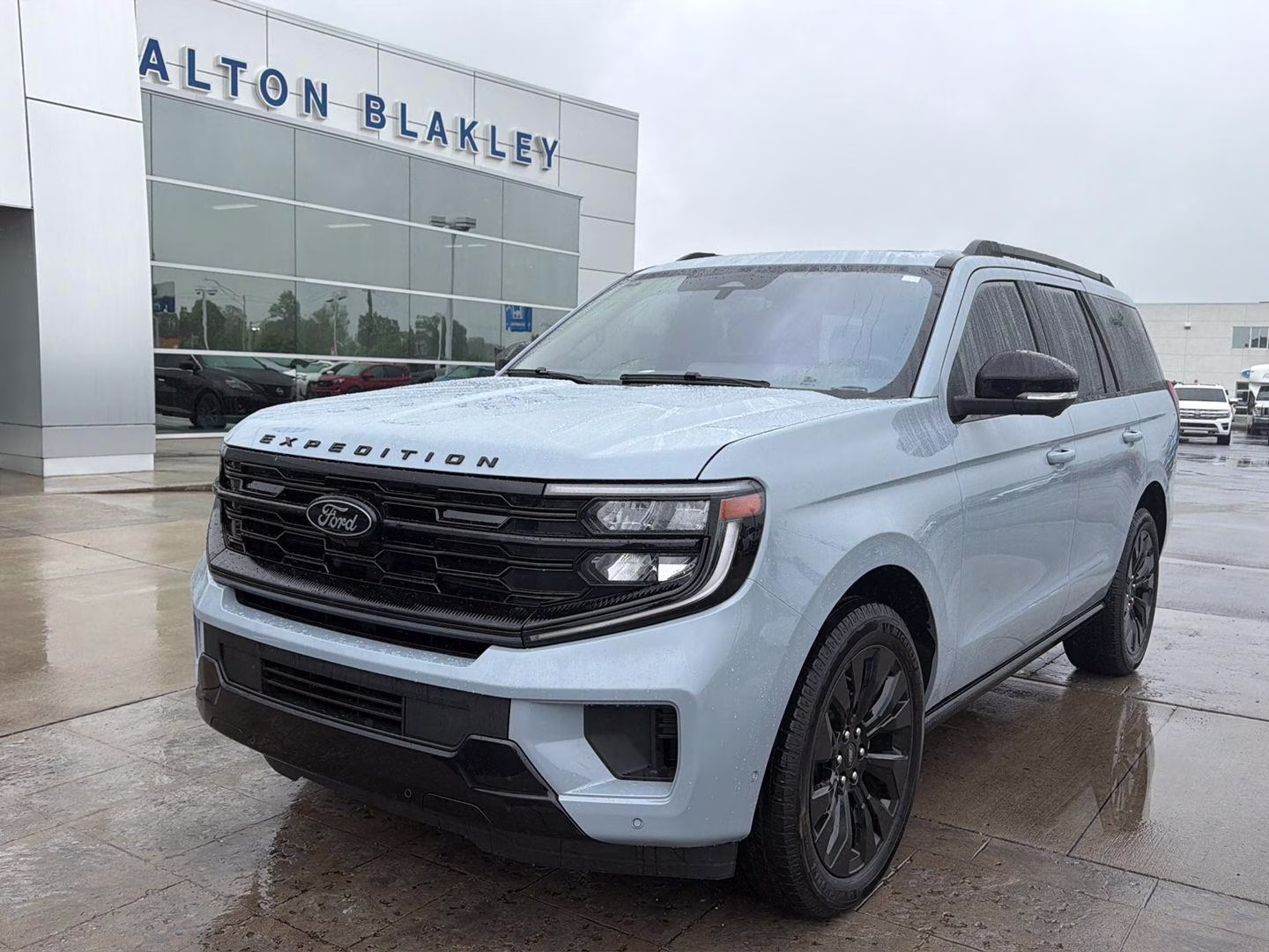 2025 Glacier Gray Metallic Tri-Coat Ford Expedition Platinum 4X4 SUV