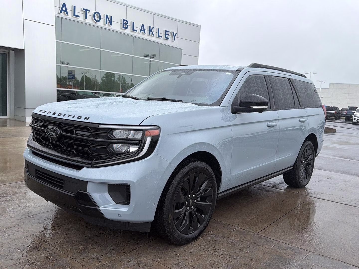 2025 Glacier Gray Metallic Tri-Coat Ford Expedition Platinum 4X4 SUV