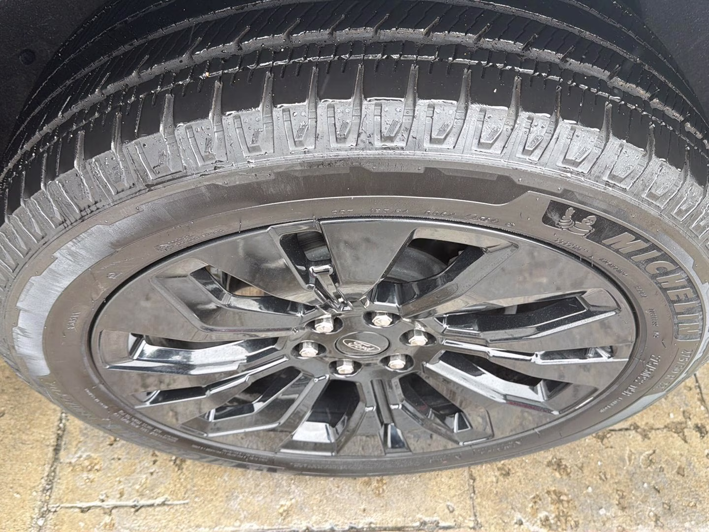 2025 Glacier Gray Metallic Tri-Coat Ford Expedition Platinum 4X4 SUV
