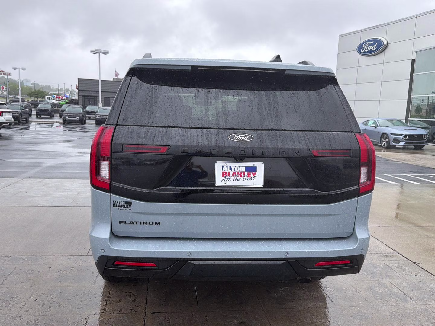 2025 Glacier Gray Metallic Tri-Coat Ford Expedition Platinum 4X4 SUV