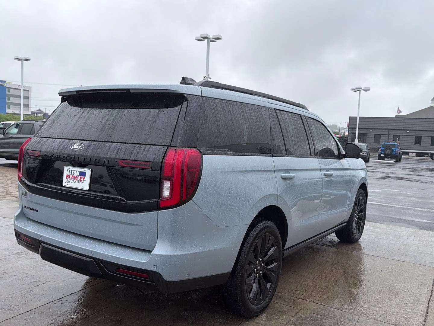 2025 Glacier Gray Metallic Tri-Coat Ford Expedition Platinum 4X4 SUV
