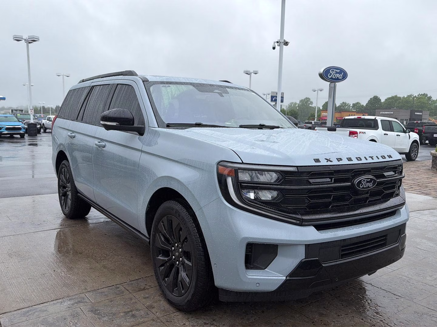 2025 Glacier Gray Metallic Tri-Coat Ford Expedition Platinum 4X4 SUV