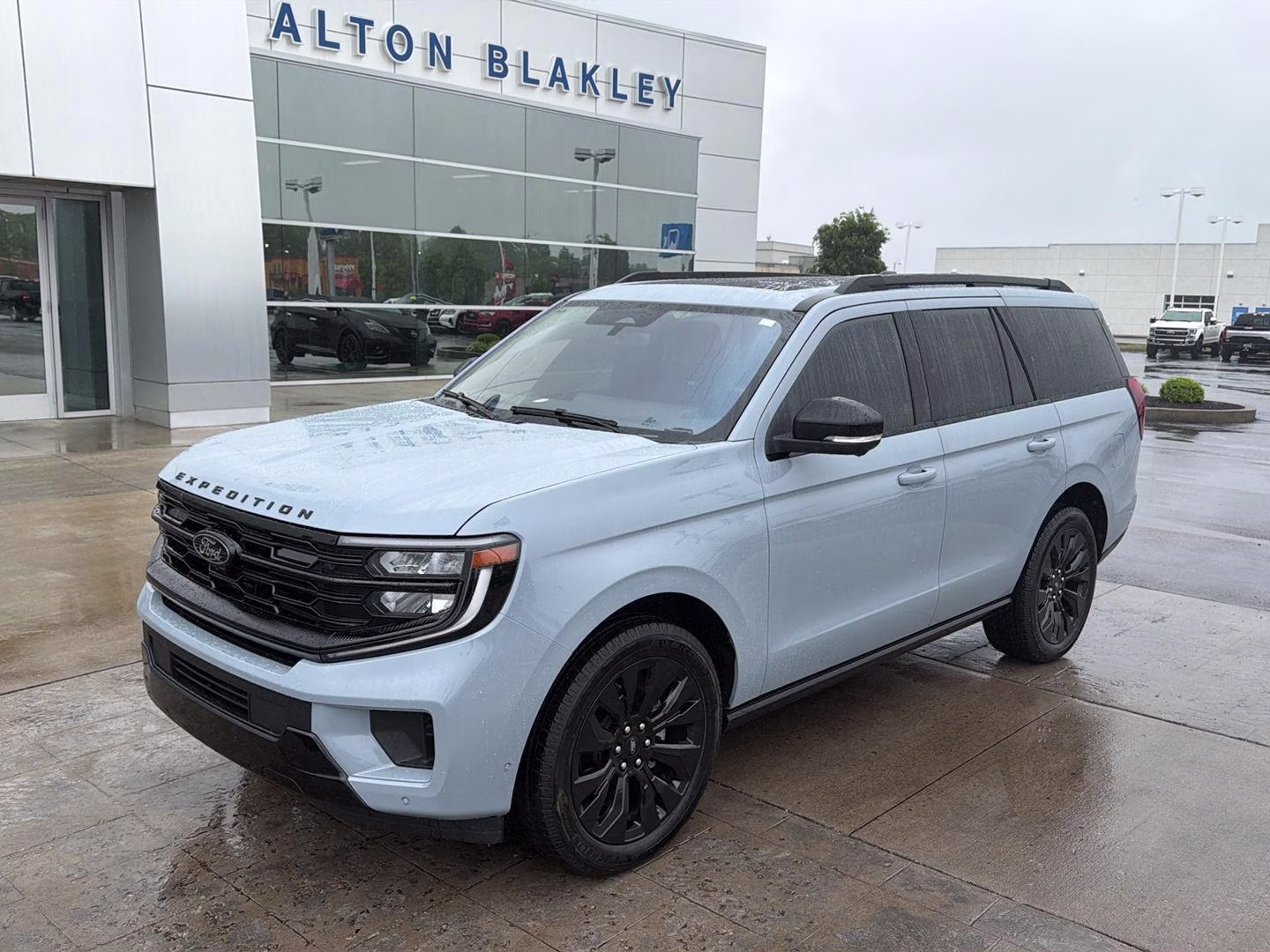 2025 Glacier Gray Metallic Tri-Coat Ford Expedition Platinum 4X4 SUV