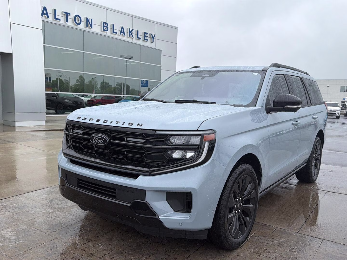 2025 Glacier Gray Metallic Tri-Coat Ford Expedition Platinum 4X4 SUV
