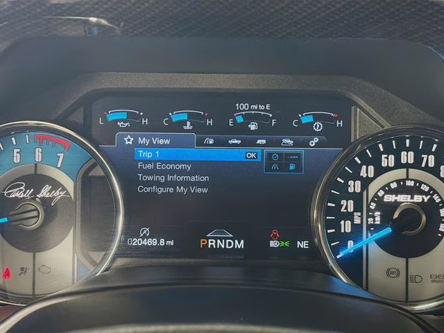 2020 Magnetic Ford F-150 Lariat SHELBY SUPERSNAKE 4X4 Truck