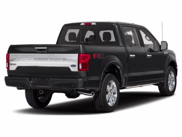 2020 Black Metallic Ford F-150 Platinum 4X4 Truck