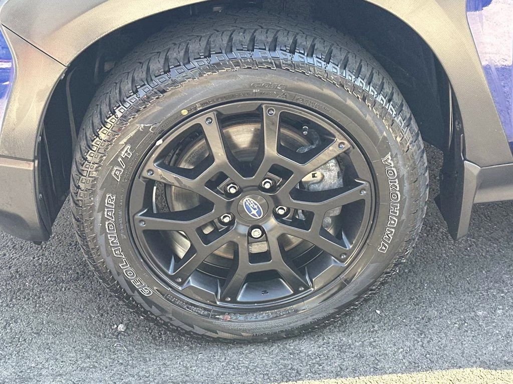2024 Sapphire Blue Pearl Subaru Crosstrek Wilderness AWD SUV