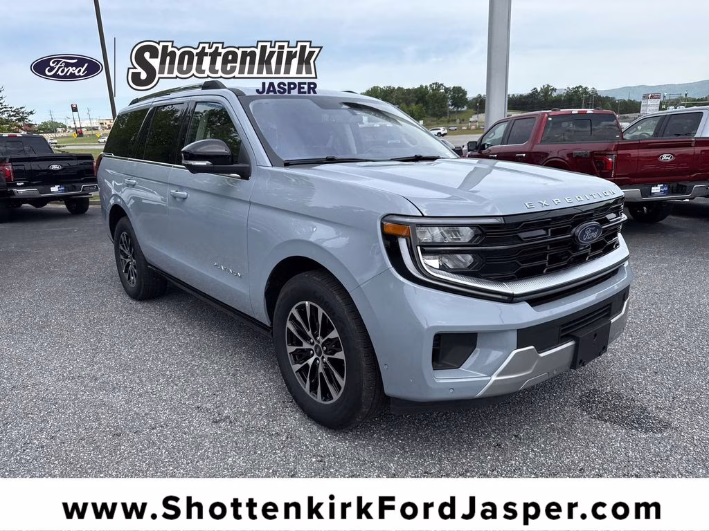 2025 Glacier Gray Metallic TriCoat Ford Expedition Platinum 4X4 SUV