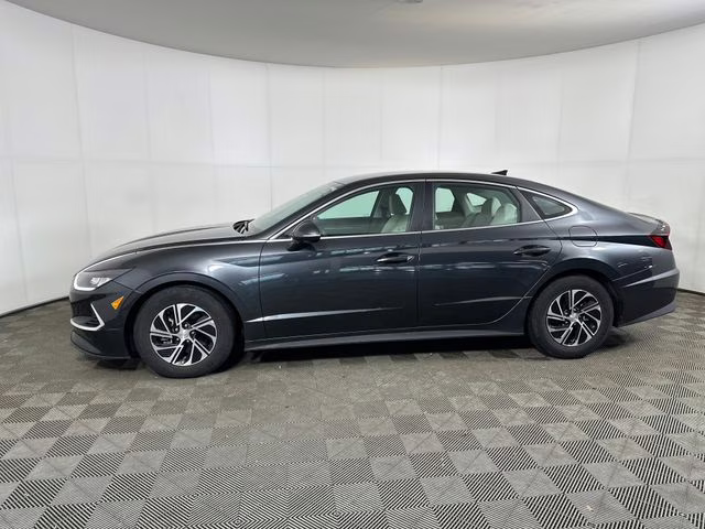 2023 Portofino Gray Hyundai Sonata Hybrid Blue FWD Sedan