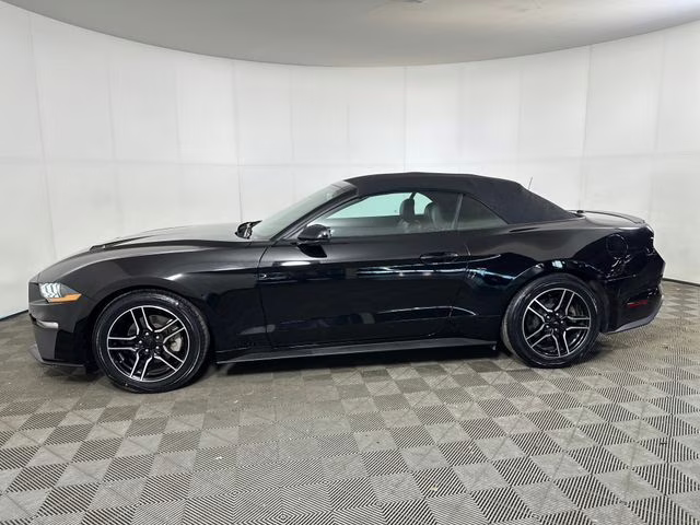 2023 Shadow Black Ford Mustang EcoBoost Premium RWD Convertible
