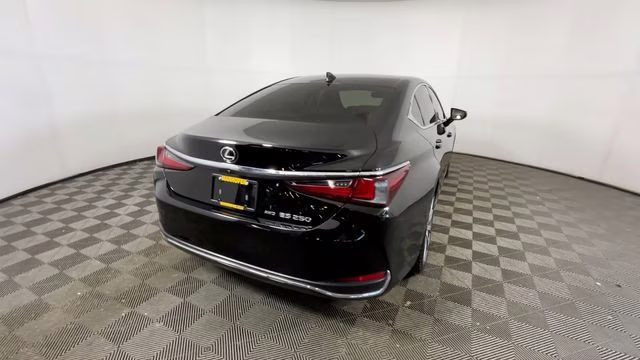 2021 Obsidian Lexus ES 250 AWD Sedan