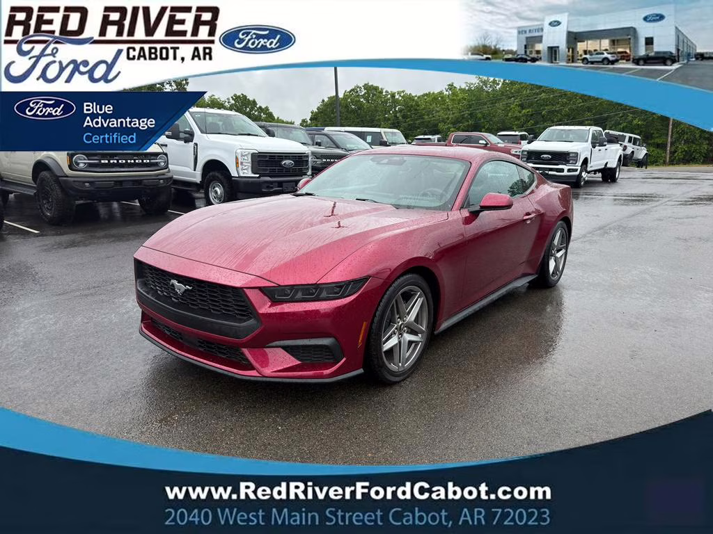 2025 MOLTEN MAGENTA METALLIC TC Ford Mustang EcoBoost RWD Coupe