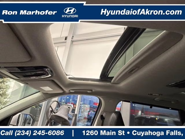 2025 Typhoon Silver Hyundai Palisade Limited AWD SUV