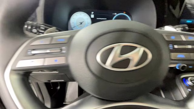 2025 Typhoon Silver Hyundai Palisade Calligraphy FWD SUV