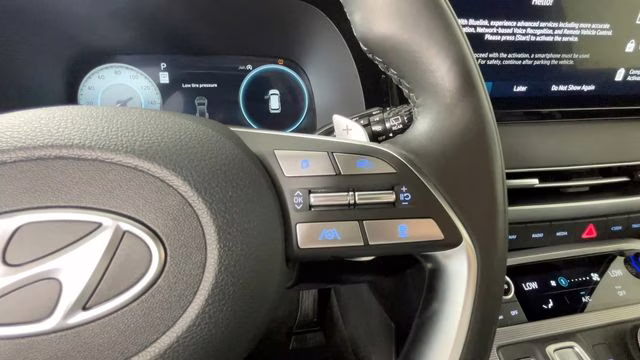 2025 Typhoon Silver Hyundai Palisade Calligraphy FWD SUV