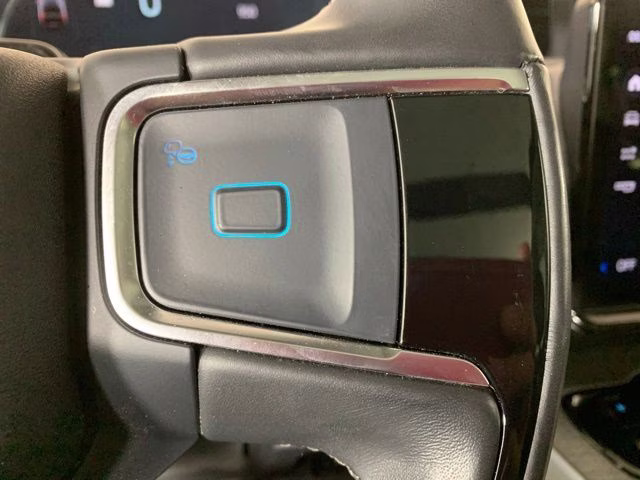 2025 Agate Black Metallic Ford Expedition Max Platinum 4X4 SUV