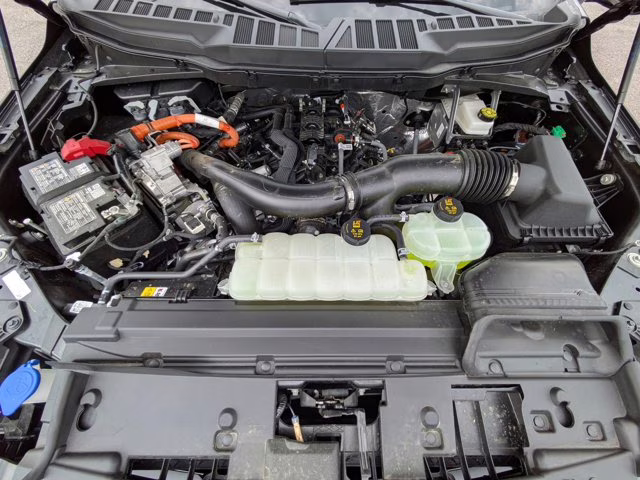 2025 Blue Metallic Ford F-150 XLT 4X4 Truck