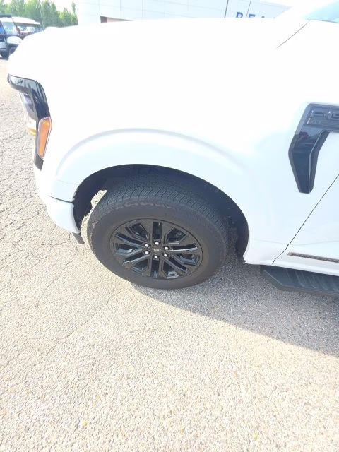 2024 Oxford White Ford F-150 XLT 4X4 Truck