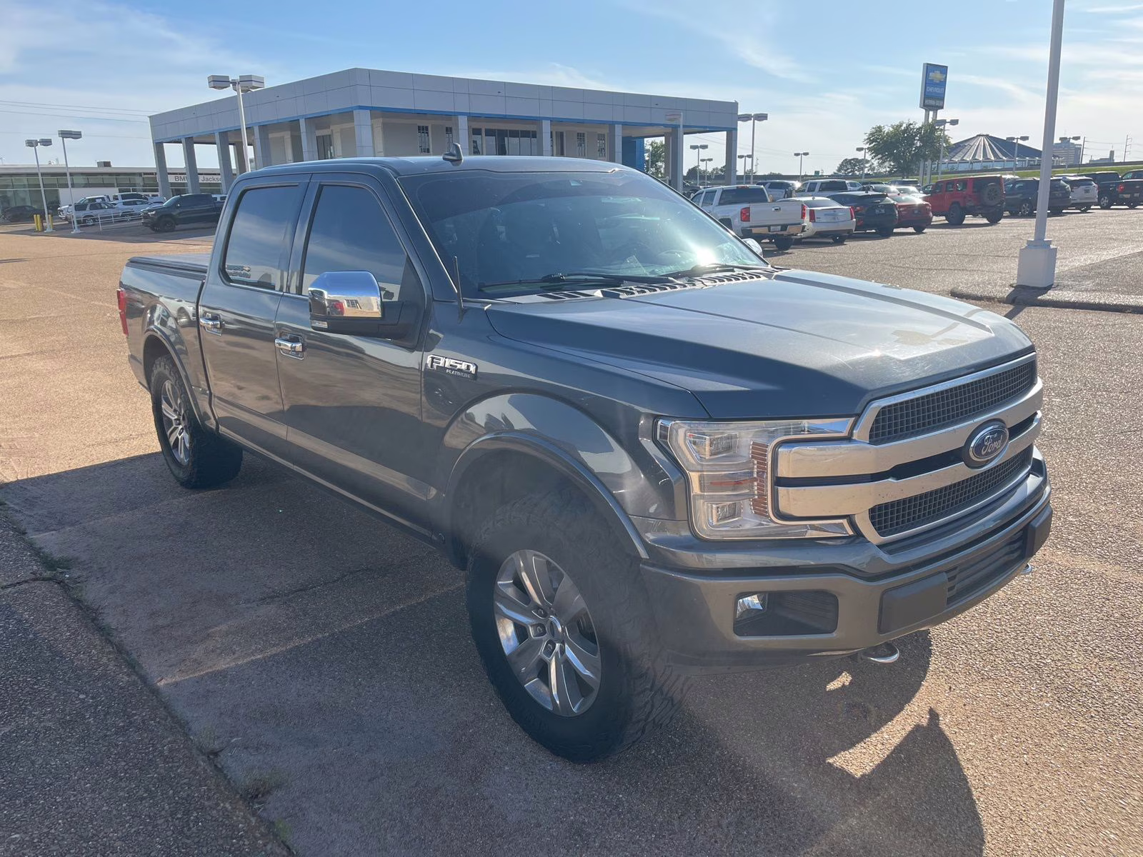 2020 Magnetic Ford F-150 Platinum 4X4 Truck
