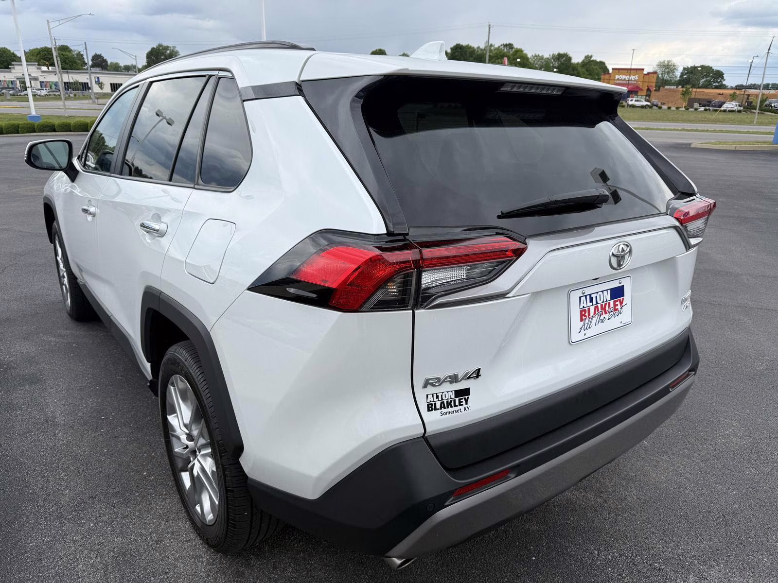 2025 Wind Chill Pearl Toyota RAV4 Limited AWD SUV