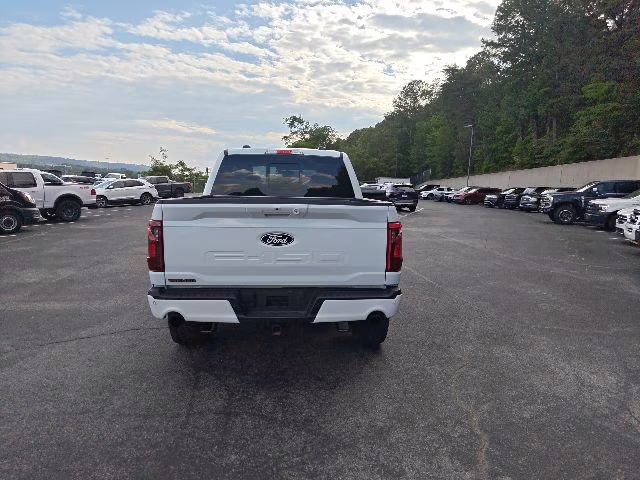 2025 Oxford White Ford F-150 Tremor 4X4 Truck