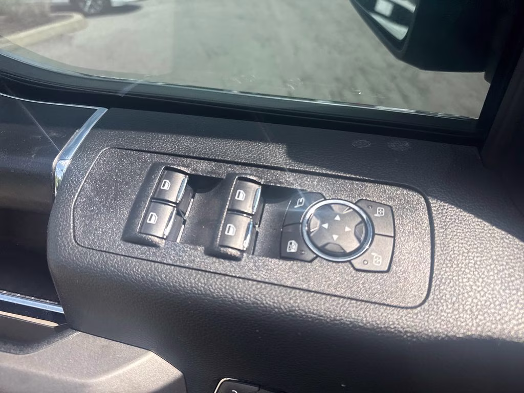 2020 Black Metallic Ford F-150 Platinum 4X4 Truck