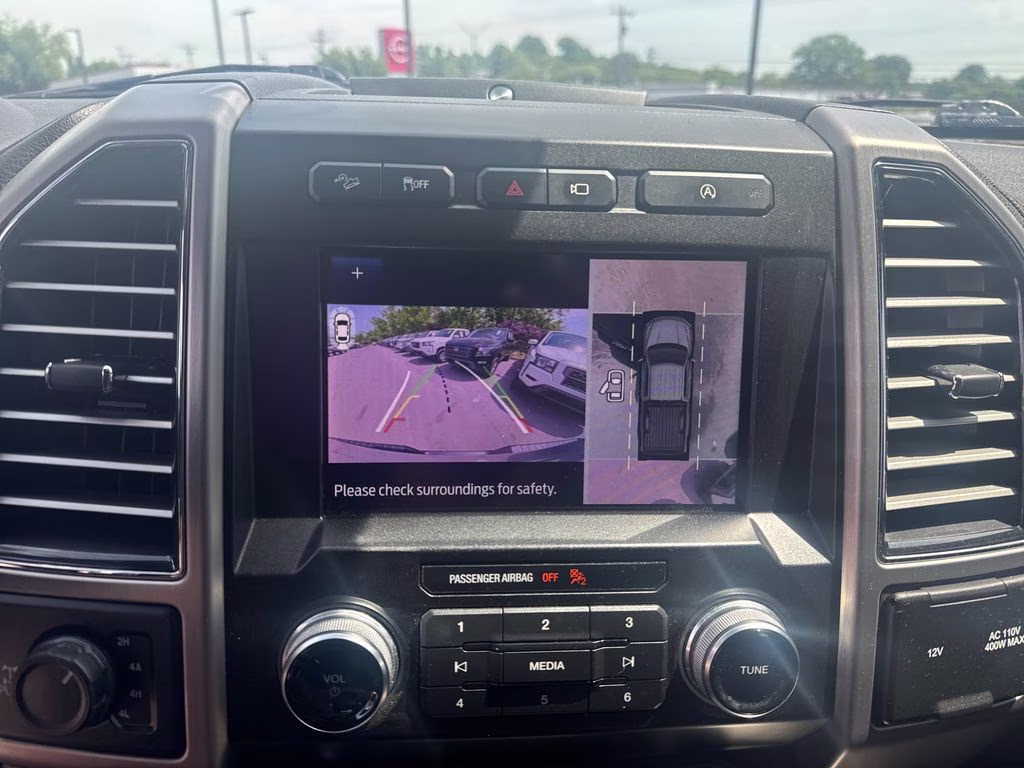 2020 Black Metallic Ford F-150 Platinum 4X4 Truck