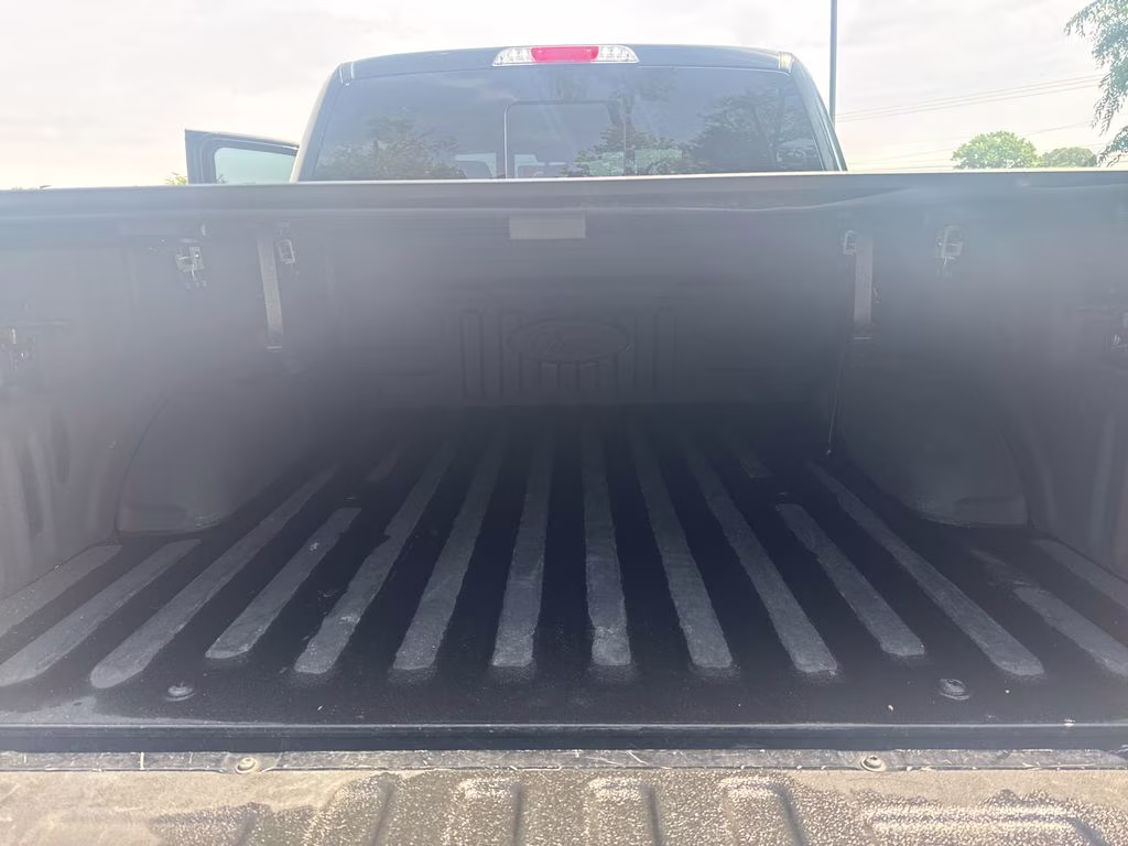 2020 Black Metallic Ford F-150 Platinum 4X4 Truck