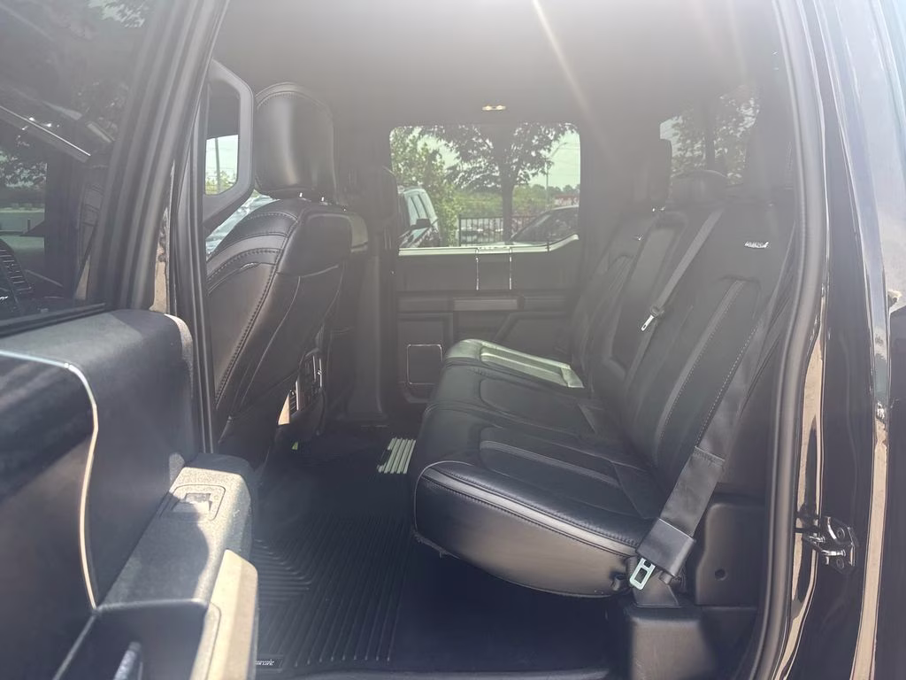2020 Black Metallic Ford F-150 Platinum 4X4 Truck