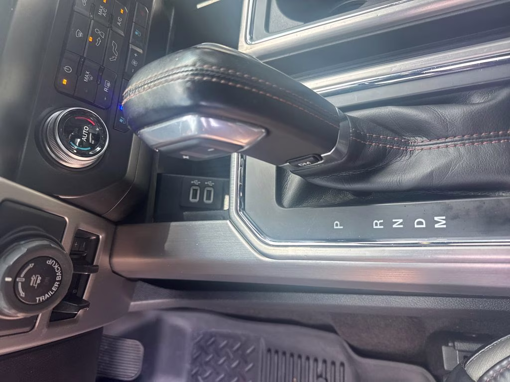 2020 Black Metallic Ford F-150 Platinum 4X4 Truck