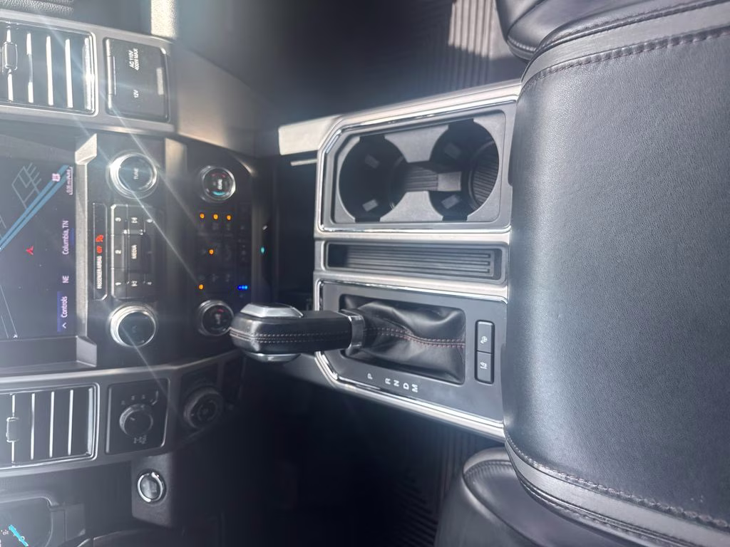 2020 Black Metallic Ford F-150 Platinum 4X4 Truck