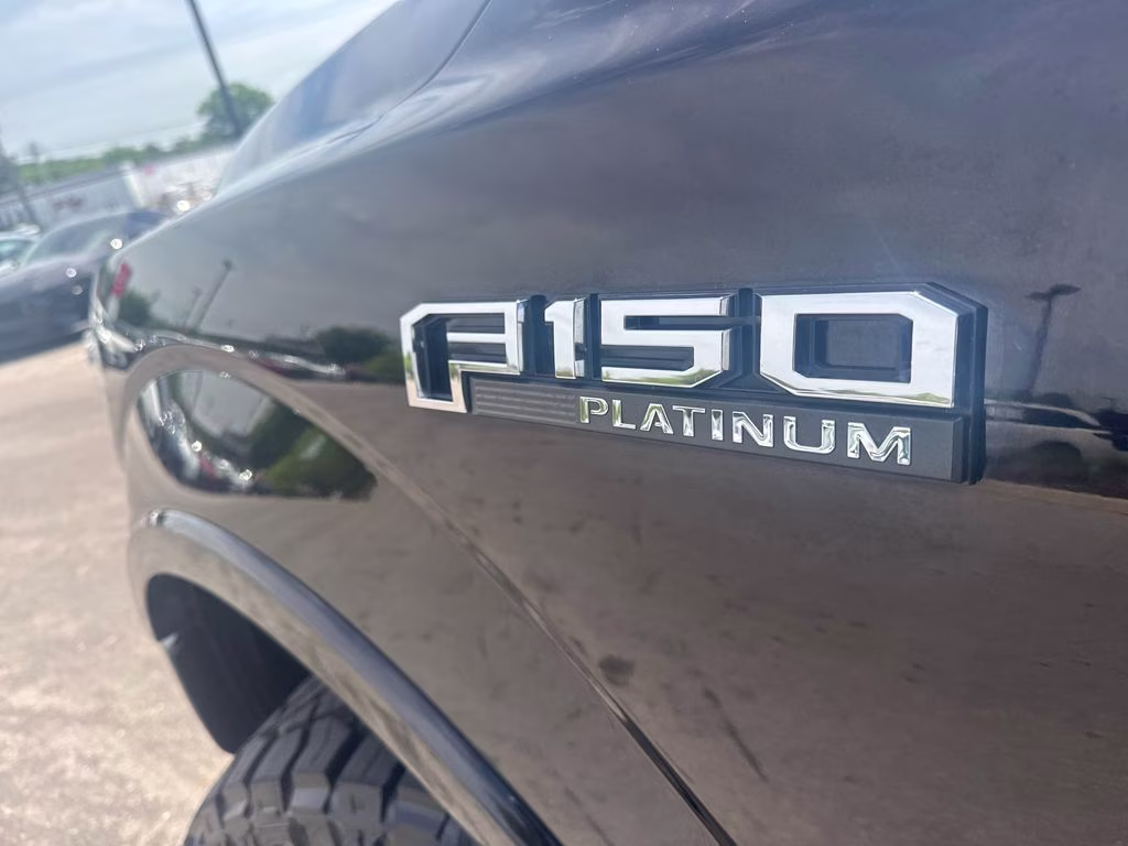 2020 Black Metallic Ford F-150 Platinum 4X4 Truck