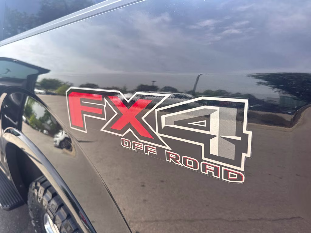 2020 Black Metallic Ford F-150 Platinum 4X4 Truck