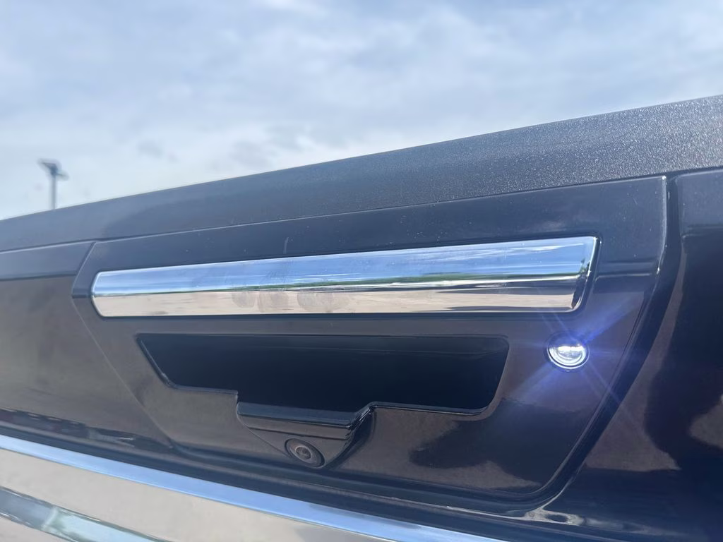 2020 Black Metallic Ford F-150 Platinum 4X4 Truck