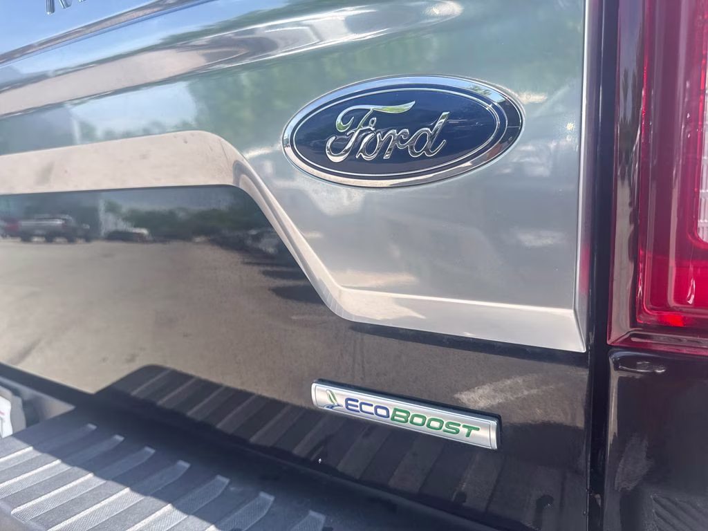 2020 Black Metallic Ford F-150 Platinum 4X4 Truck