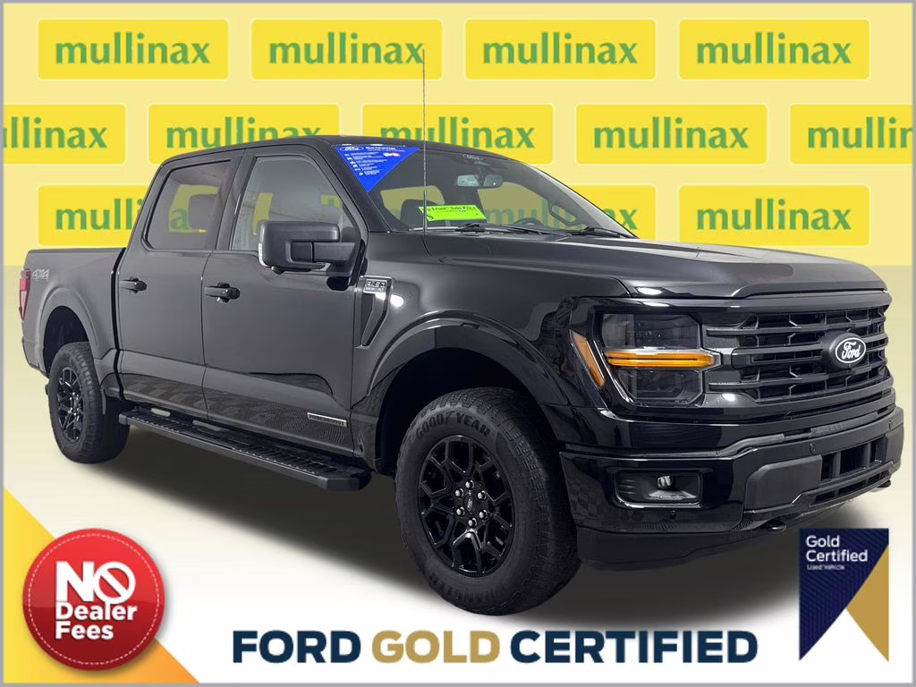 2024 Agate Black Metallic Ford F-150 XLT 4X4 Truck