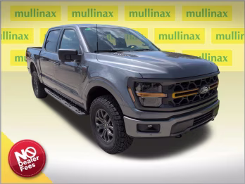 2026 Gray Ford F-150 Tremor 4X4 Truck