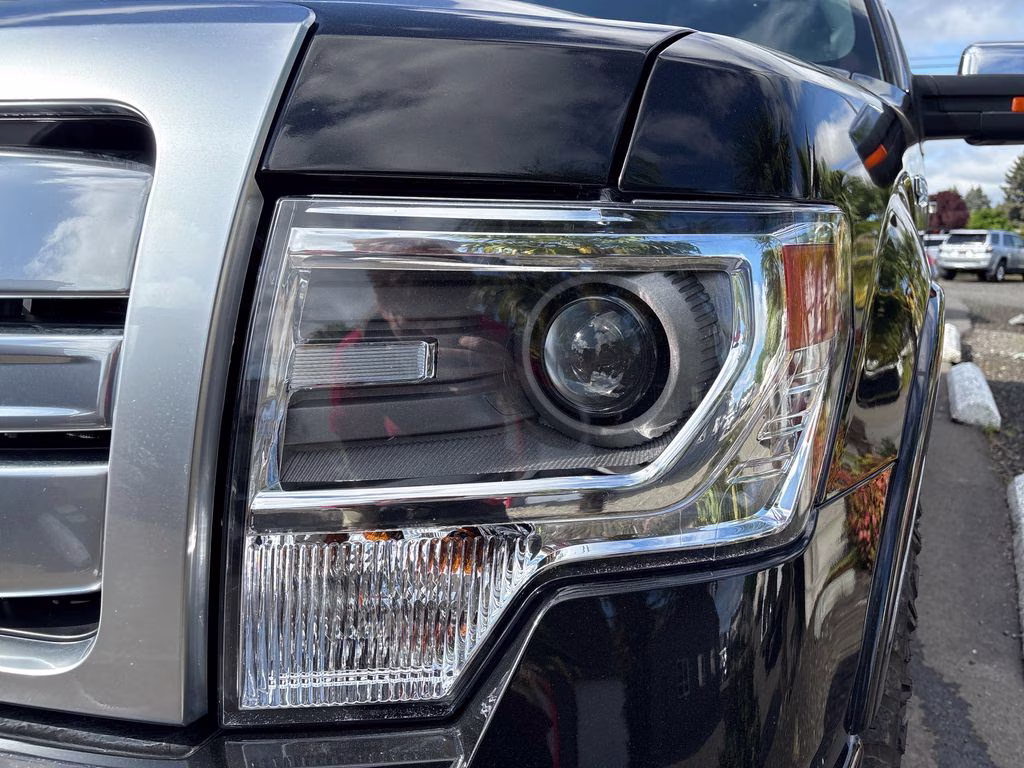 2013 Tuxedo Black Metallic Ford F-150 Platinum 4X4 Truck