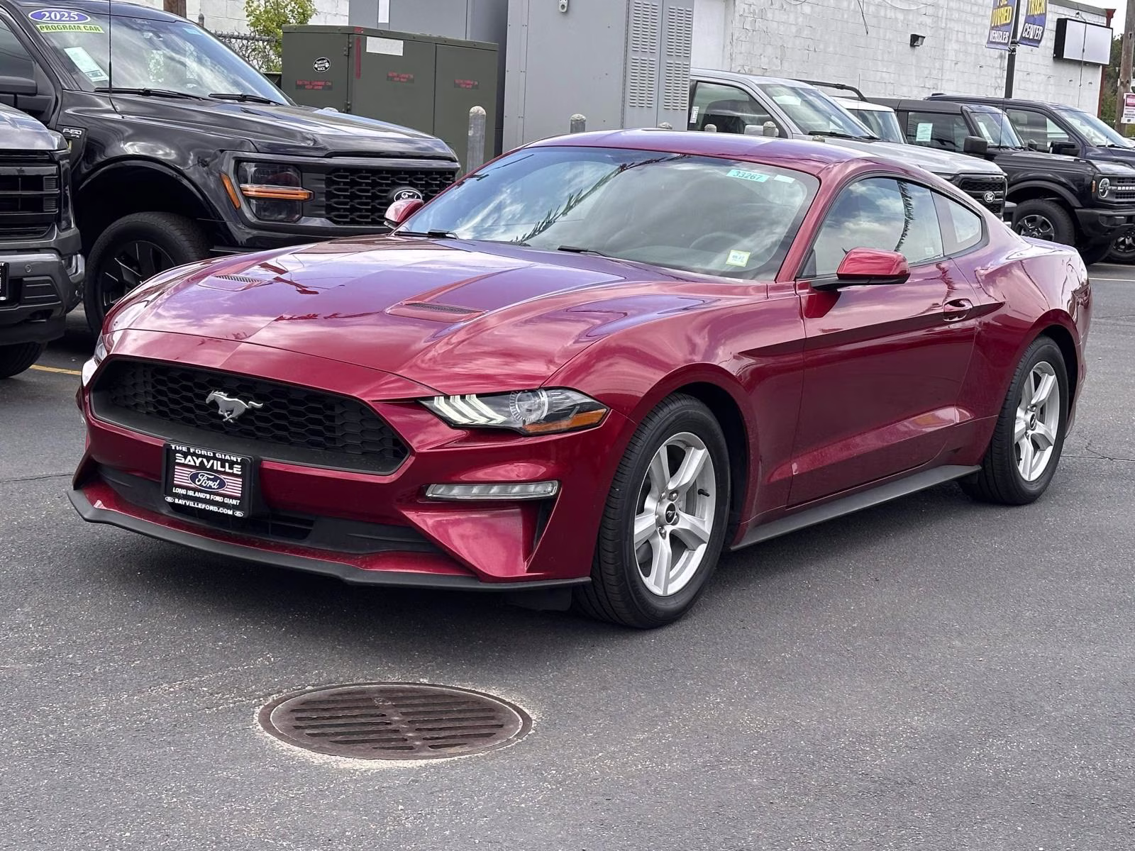 2019 Ruby Red Metallic Tinted Clearcoat Ford Mustang EcoBoost Fastback RWD Sedan