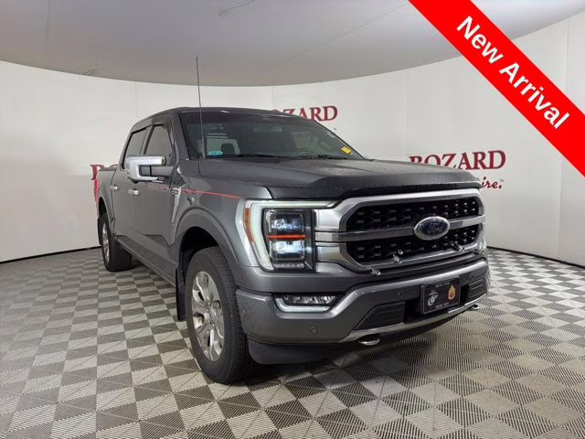 2023 Carbonized Gray Metallic Ford F-150 Platinum 4X4 Truck