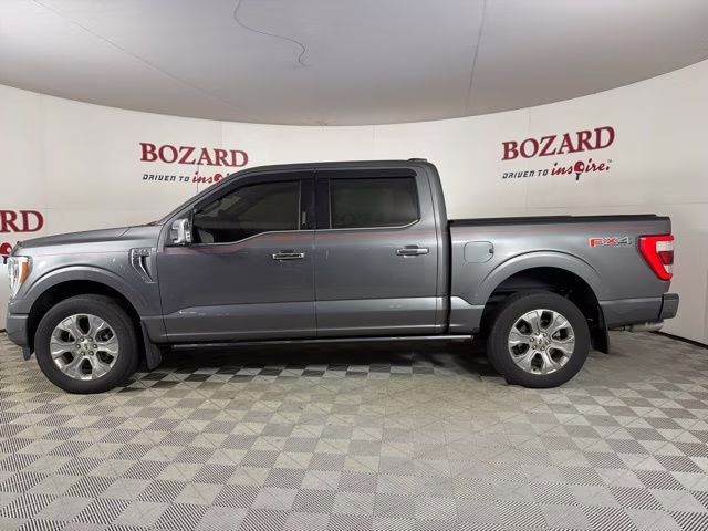 2023 Carbonized Gray Metallic Ford F-150 Platinum 4X4 Truck