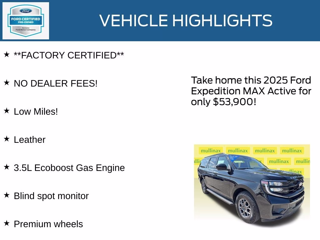 2025 Agate Black Metallic Ford Expedition Max Active RWD SUV