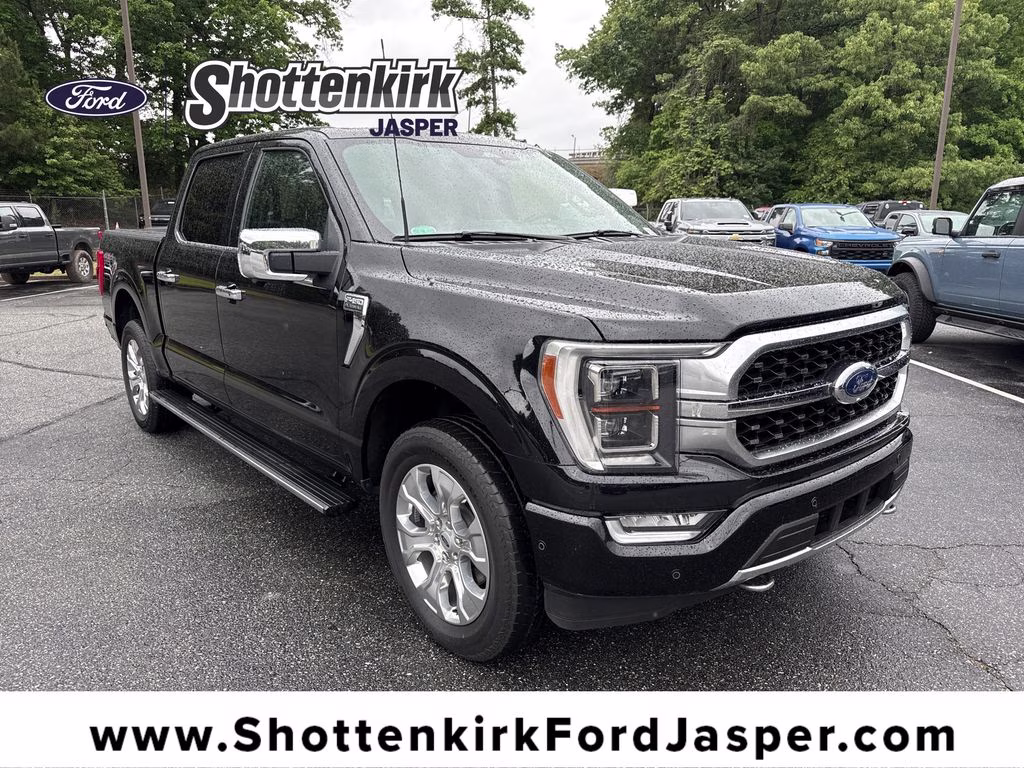 2023 Agate Black Metallic Ford F-150 Platinum 4X4 Truck