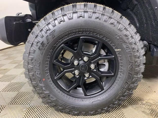 2026 Anvil Clear Coat Jeep Wrangler 4-Door Willys 4X4 SUV