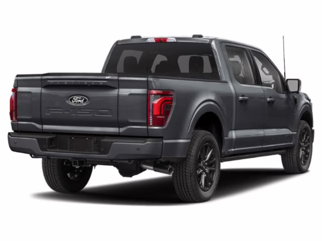 2025 Gray Metallic Ford F-150 Platinum 4X4 Truck