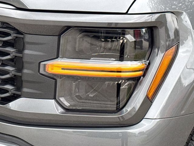 2026 Gray Ford F-150 STX RWD Truck