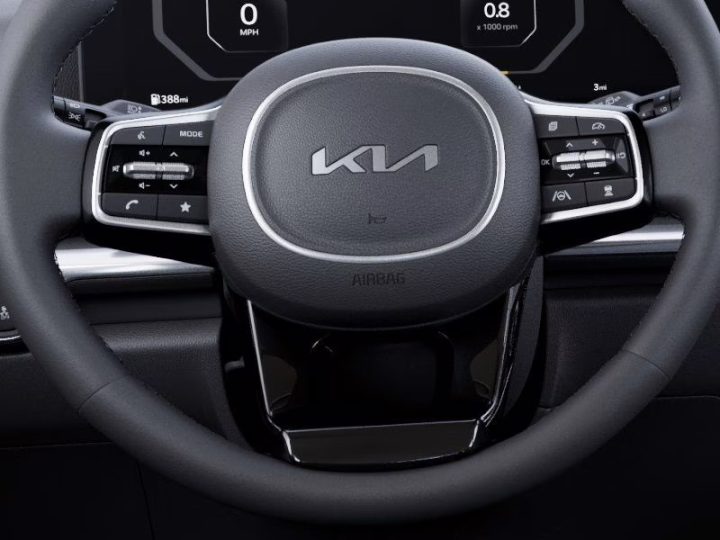 2026 Ceramic Silver Kia Carnival SX FWD Van