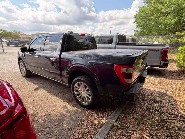 2021 Smoked Quartz Metallic Tinted Clearcoat Ford F-150 Limited 4X4 Truck